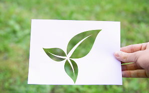 RGE (Reconnu Garant de l'Environnement)